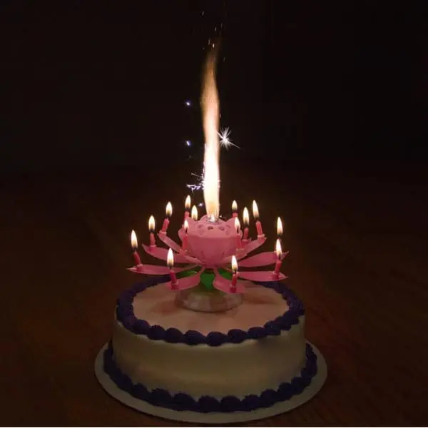 Thumbnail 11